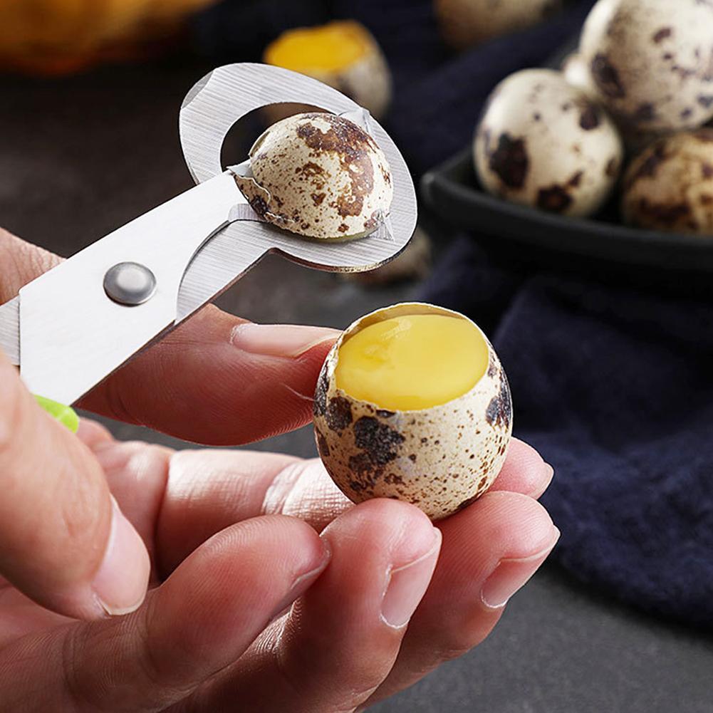 Egg Separator Tool - 鳩、ウズラ、小型卵の殻割り、ハサミカット、鳥の卵の殻割り器、シガーカッター、オープナー、ツール、クリッパー、クラッカー、ブレード、シャー
