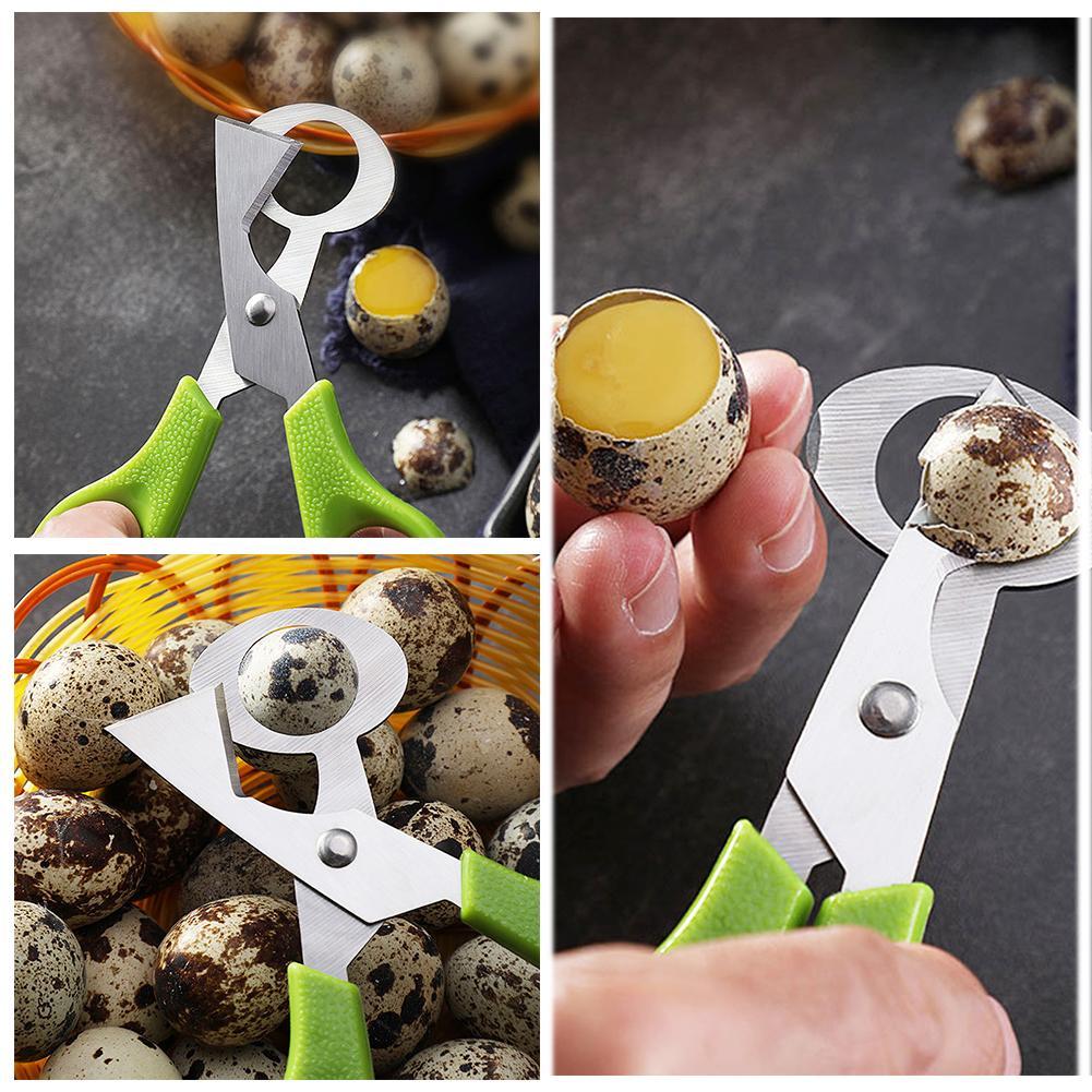 鳩、ウズラ、小型卵の殻割り、ハサミカット、鳥の卵の殻割り器、 - Egg Separator Tool のレビューと価格