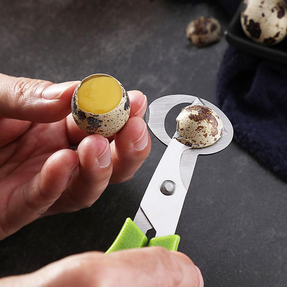 鳩、ウズラ、小型卵の殻割り、ハサミカット、鳥の卵の殻割り器、 - Egg Separator Tool のレビューと価格